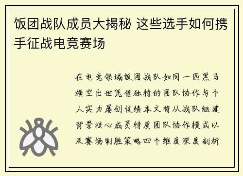 饭团战队成员大揭秘 这些选手如何携手征战电竞赛场